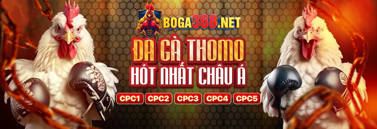 Đá Gà Trực Tuyến Hấp Dẫn tại 89bet1 cổng game chính thức